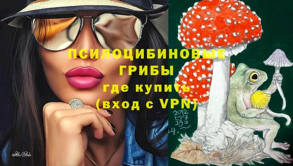 синтетический гашиш Костерёво