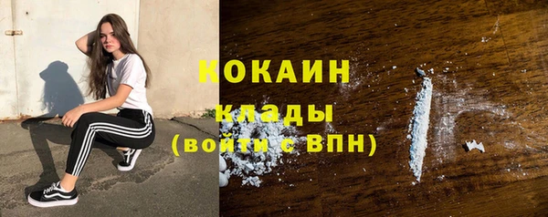 мдпв Коряжма