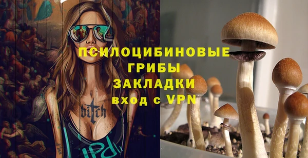 синтетический гашиш Костерёво